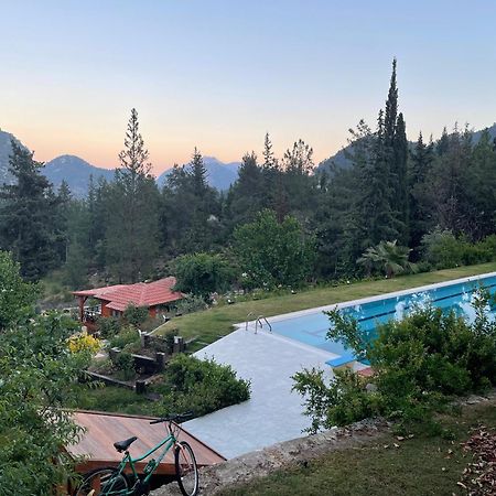 Trinitys Forest Bungalows Kemer Exterior foto