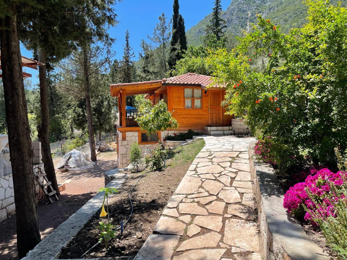 Trinitys Forest Bungalows Kemer Exterior foto