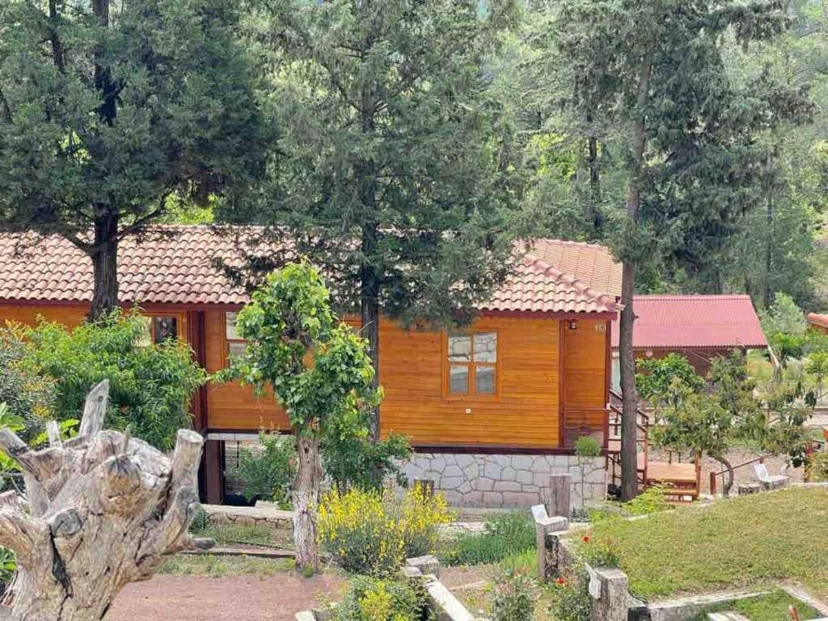 Trinitys Forest Bungalows Kemer Exterior foto