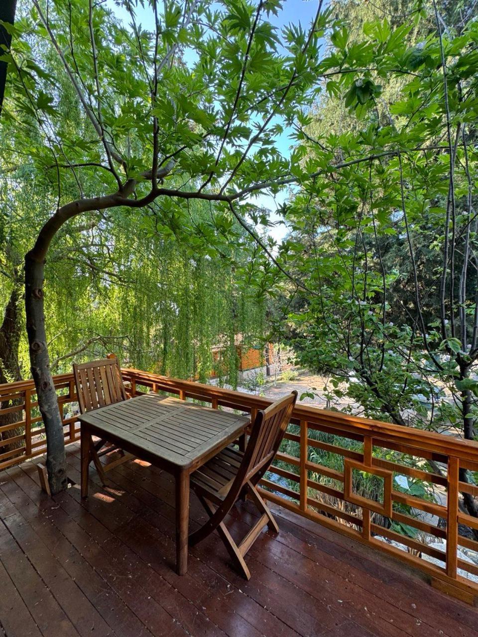 Trinitys Forest Bungalows Kemer Exterior foto